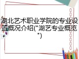 湖北艺术职业学院的专业设置概况介绍("湖艺专业概览")