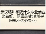 武汉晴川学院什么专业就业比较好，原因是啥(晴川学院就业优势专业)