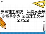 武昌理工学院一年奖学金最多能拿多少(武昌理工奖学金最高)