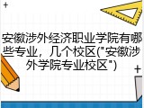安徽涉外经济职业学院有哪些专业，几个校区("安徽涉外学院专业校区")