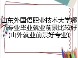 山东外国语职业技术大学哪个专业毕业就业前景比较好(山外就业前景好专业)