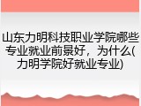 山东力明科技职业学院哪些专业就业前景好，为什么(力明学院好就业专业)