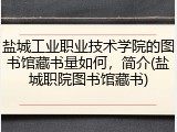 盐城工业职业技术学院的图书馆藏书量如何，简介(盐城职院图书馆藏书)