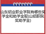 山东铝业职业学院有哪些奖学金和助学金呢(山铝职院奖助学金)
