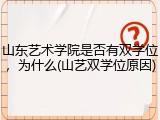 山东艺术学院是否有双学位，为什么(山艺双学位原因)