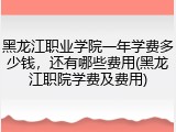 黑龙江职业学院一年学费多少钱，还有哪些费用(黑龙江职院学费及费用)