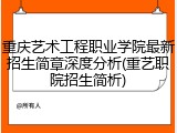 重庆艺术工程职业学院最新招生简章深度分析(重艺职院招生简析)