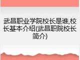 武昌职业学院校长是谁,校长基本介绍(武昌职院校长简介)