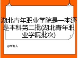 湖北青年职业学院是一本还是本科第二批(湖北青年职业学院批次)