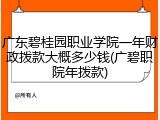 广东碧桂园职业学院一年财政拨款大概多少钱(广碧职院年拨款)