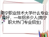 南宁职业技术大学什么专业最好，一年招多少人(南宁职大热门专业招生)