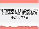 河南信息统计职业学院是国家重点大学吗(河南统院是重点大学吗)