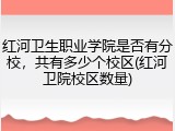 红河卫生职业学院是否有分校，共有多少个校区(红河卫院校区数量)