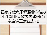 石家庄信息工程职业学院毕业生就业大致去向如何(石家庄信工就业去向)