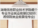 湖南信息职业技术学院哪个专业毕业就业前景比较好(湘信院就业前景佳专业)