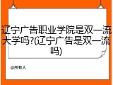 辽宁广告职业学院是双一流大学吗?(辽宁广告是双一流吗)
