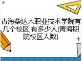 青海柴达木职业技术学院有几个校区,有多少人(青海职院校区人数)