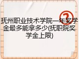 抚州职业技术学院一年奖学金最多能拿多少(抚职院奖学金上限)