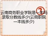 云南商务职业学院是一本吗录取分数线多少(云商职院一本线多少)