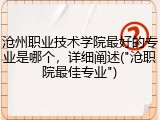 沧州职业技术学院最好的专业是哪个，详细阐述("沧职院最佳专业")