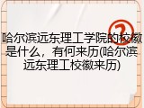 哈尔滨远东理工学院的校徽是什么，有何来历(哈尔滨远东理工校徽来历)
