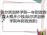 哈尔滨剑桥学院一年财政拨款大概多少钱(哈尔滨剑桥学院年财政拨款)