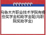 乌鲁木齐职业技术学院有哪些奖学金和助学金呢(乌职院奖助学金)