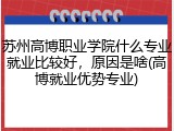 苏州高博职业学院什么专业就业比较好，原因是啥(高博就业优势专业)