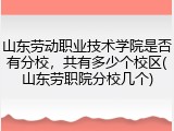山东劳动职业技术学院是否有分校，共有多少个校区(山东劳职院分校几个)