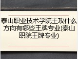 泰山职业技术学院主攻什么方向有哪些王牌专业(泰山职院王牌专业)