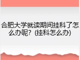 合肥大学就读期间挂科了怎么办呢？(挂科怎么办)