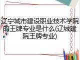 辽宁城市建设职业技术学院的王牌专业是什么(辽城建院王牌专业)
