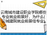 云南城市建设职业学院哪些专业就业前景好，为什么(云城建院就业前景佳专业)
