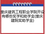 重庆建筑工程职业学院开设有哪些奖学和助学金(重庆建院奖助学金)