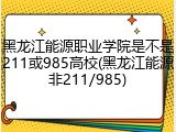 黑龙江能源职业学院是不是211或985高校(黑龙江能源非211/985)