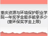 重庆资源与环境保护职业学院一年奖学金最多能拿多少(重环保奖学金上限)