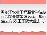 黑龙江农业工程职业学院毕业后就业前景怎么样，毕业生去向(农工职院就业去向)