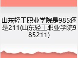 山东轻工职业学院是985还是211(山东轻工职业学院985211)