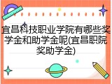 宜昌科技职业学院有哪些奖学金和助学金呢(宜昌职院奖助学金)