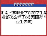 湖南民族职业学院的学生毕业都怎么样了(湘民职院毕业生去向)