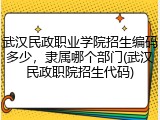 武汉民政职业学院招生编码多少，隶属哪个部门(武汉民政职院招生代码)