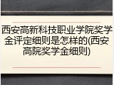 西安高新科技职业学院奖学金评定细则是怎样的(西安高院奖学金细则)