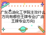 广东石油化工学院主攻什么方向有哪些王牌专业(广油王牌专业方向)