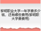 黎明职业大学一年学费多少钱，还有哪些费用(黎明职大学费费用)