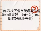 山东科技职业学院哪些专业就业前景好，为什么(山东职院好就业专业)