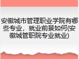 安徽城市管理职业学院有哪些专业，就业前景如何(安徽城管职院专业就业)