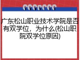 广东松山职业技术学院是否有双学位，为什么(松山职院双学位原因)