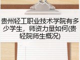 贵州轻工职业技术学院有多少学生，师资力量如何(贵轻院师生概况)
