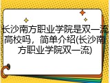 长沙南方职业学院是双一流高校吗，简单介绍(长沙南方职业学院双一流)