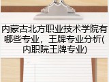 内蒙古北方职业技术学院有哪些专业，王牌专业分析(内职院王牌专业)